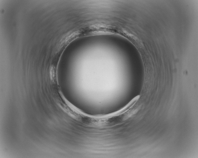 X0000059080288200510172037