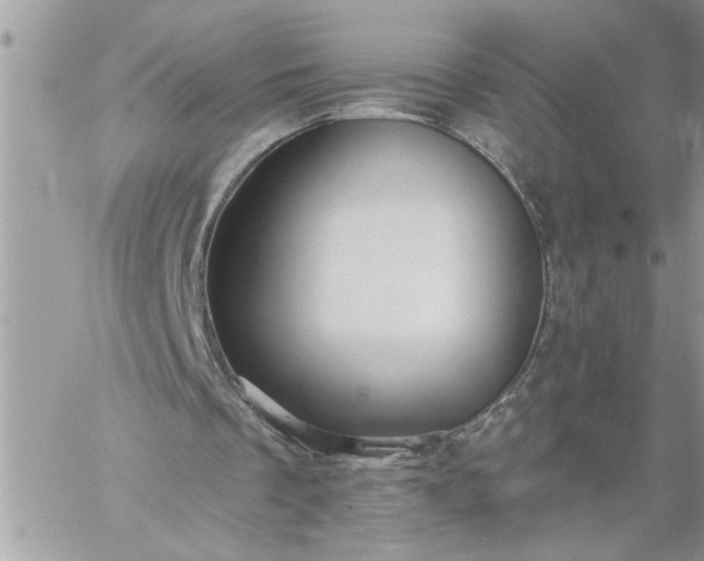 X0000059080289200510172036