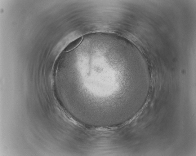 X0000059080290200510172036