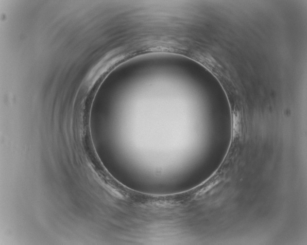 X0000059080291200510172036