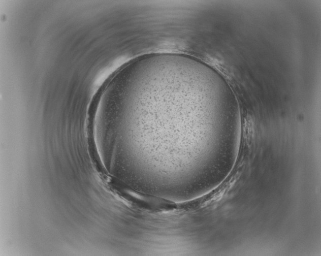 X0000059080292200510172036