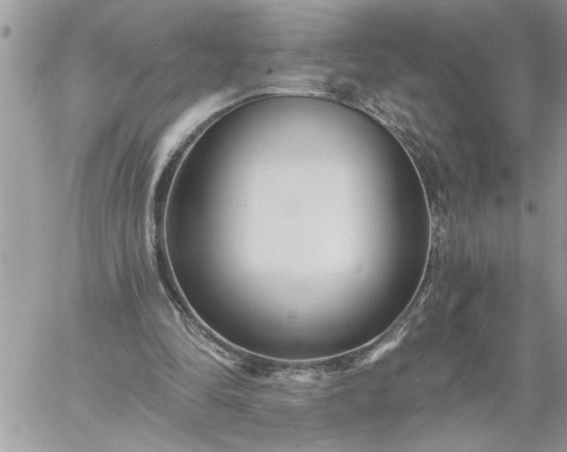 X0000059080294200510172036