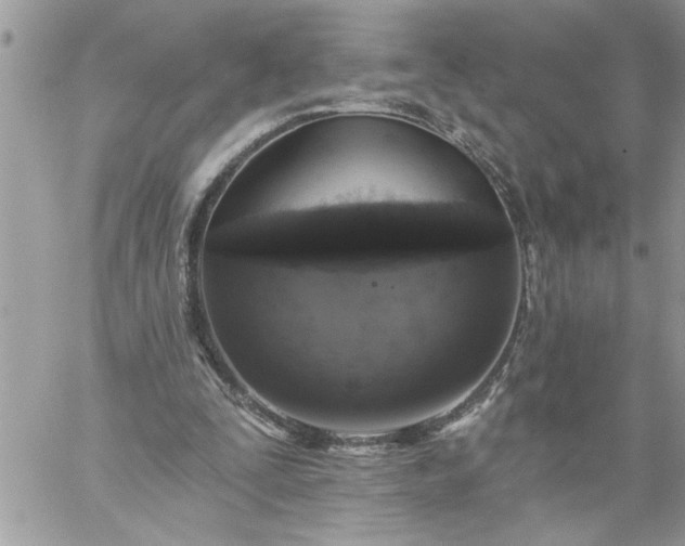 X0000059080295200510172036