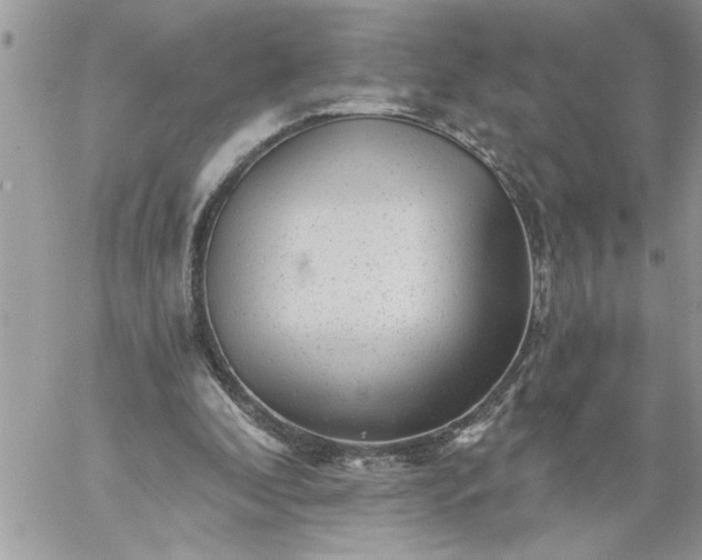 X0000059080296200510172036