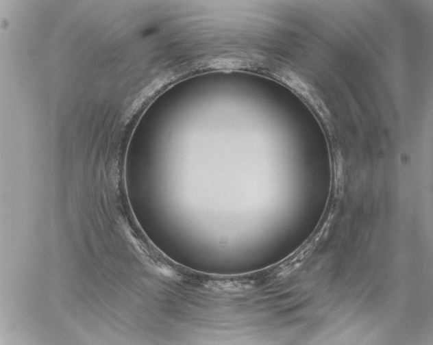 X0000059080297200510172036