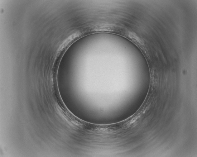 X0000059080298200510172036