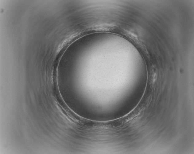 X0000059080299200510172036