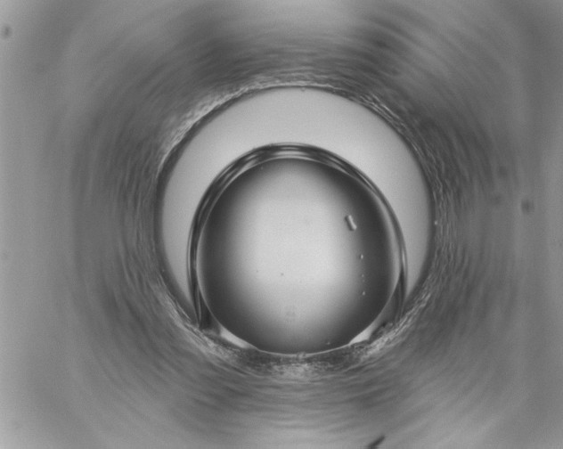 X0000059080301200510172036