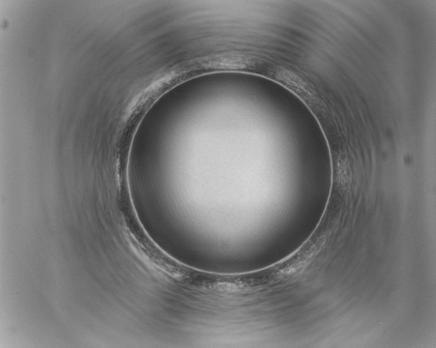 X0000059080302200510172036