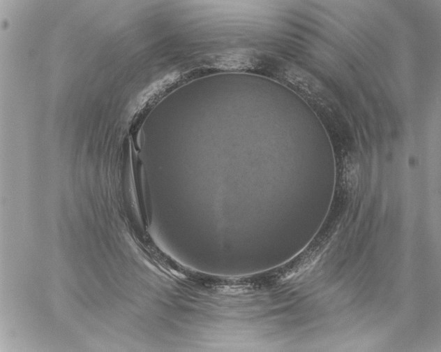 X0000059080303200510172036