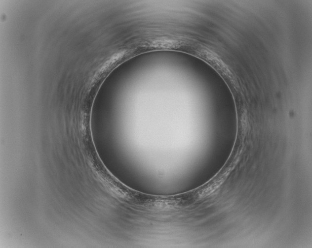 X0000059080305200510172036