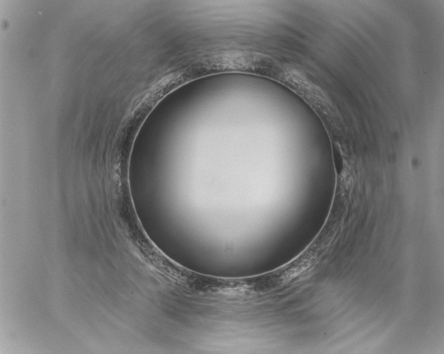 X0000059080306200510172036