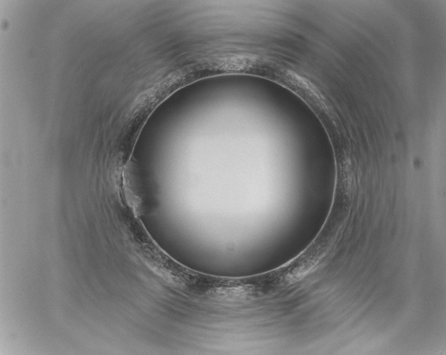 X0000059080307200510172036