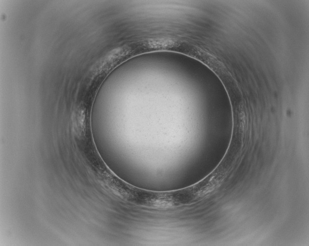 X0000059080308200510172036