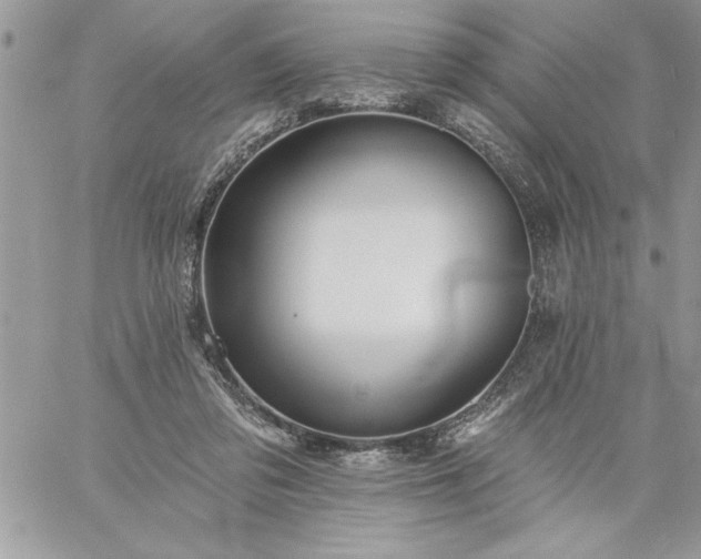 X0000059080309200510172036