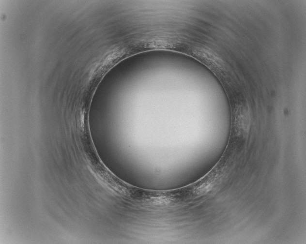 X0000059080310200510172036