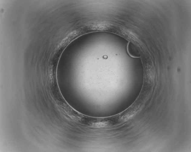 X0000059080312200510172036