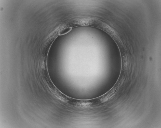 X0000059080313200510172036