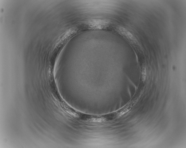 X0000059080314200510172036