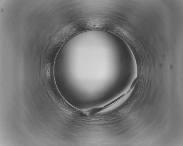 X0000059080315200510172036