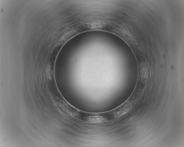 X0000059080316200510172036