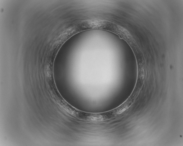 X0000059080317200510172036