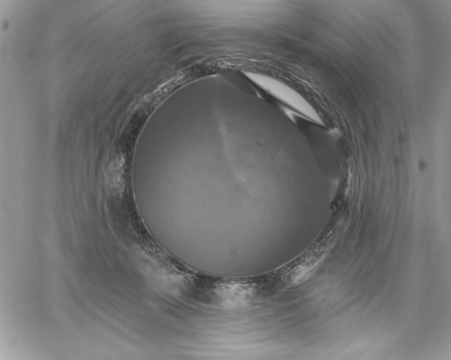 X0000059080319200510172036