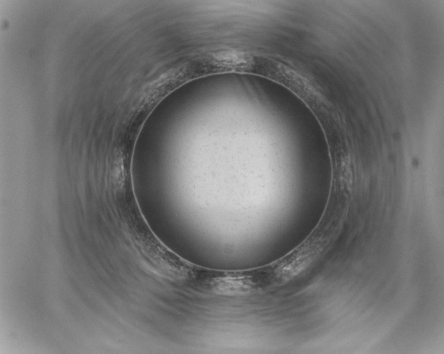 X0000059080320200510172036