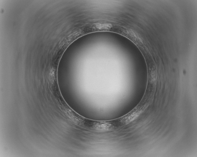 X0000059080321200510172036