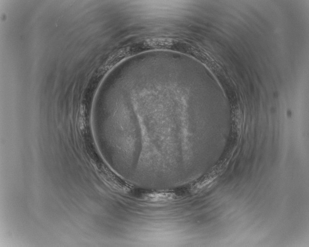 X0000059080323200510172036