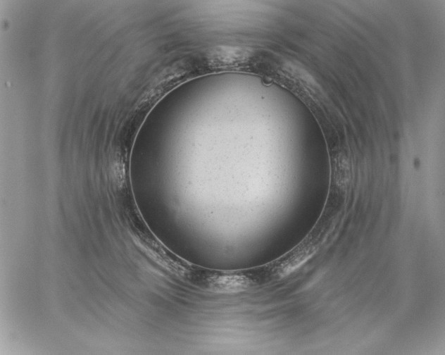 X0000059080324200510172036