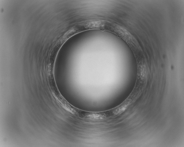 X0000059080326200510172036