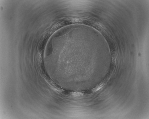 X0000059080327200510172036