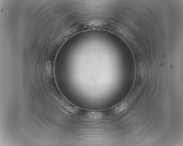 X0000059080328200510172036