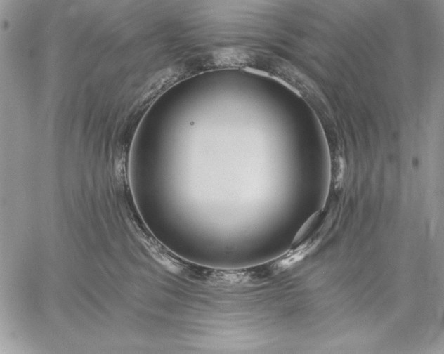 X0000059080329200510172036