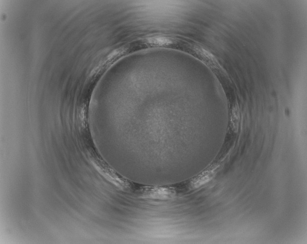 X0000059080330200510172036