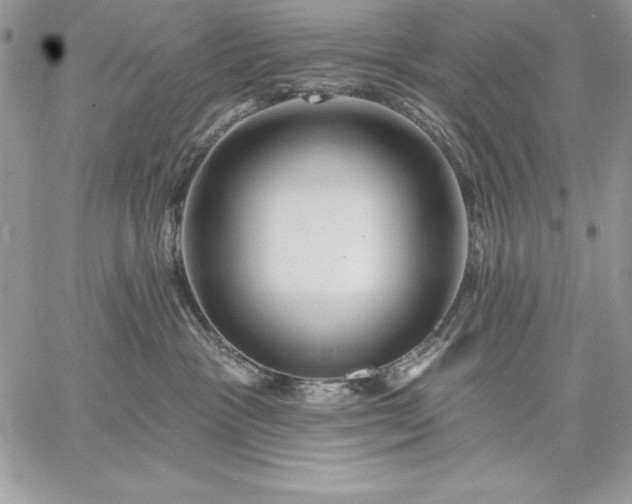 X0000059080333200510172036