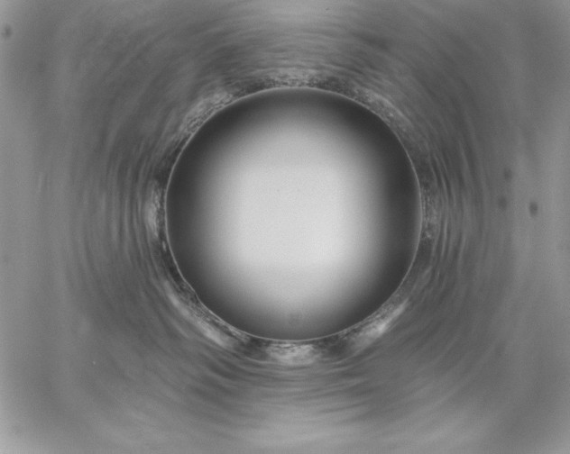 X0000059080334200510172036