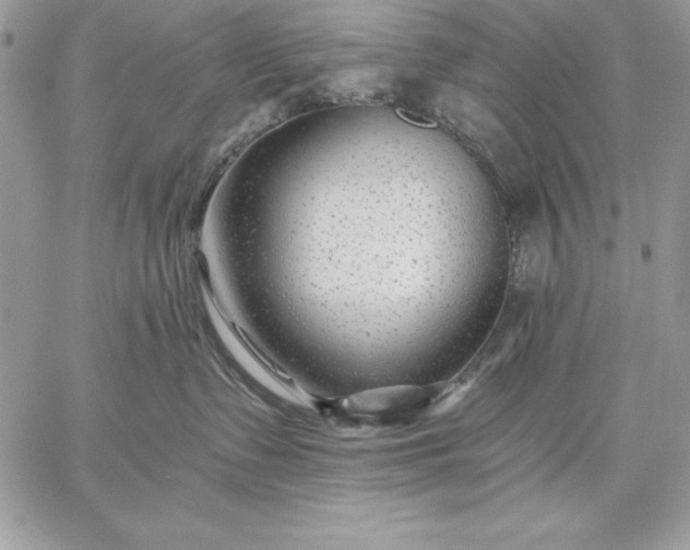 X0000059080335200510172036