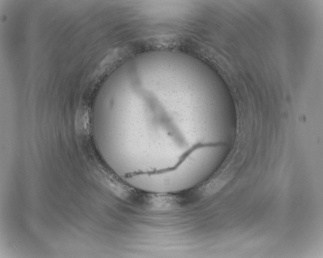 X0000059080336200510172036