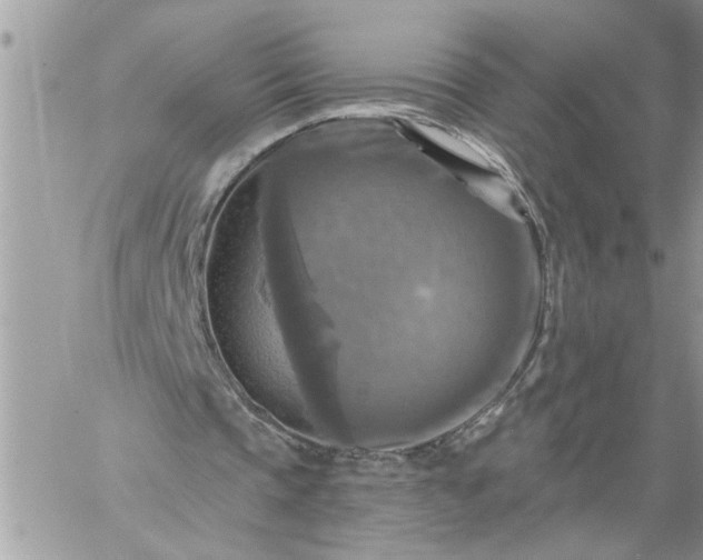 X0000059080337200510172035