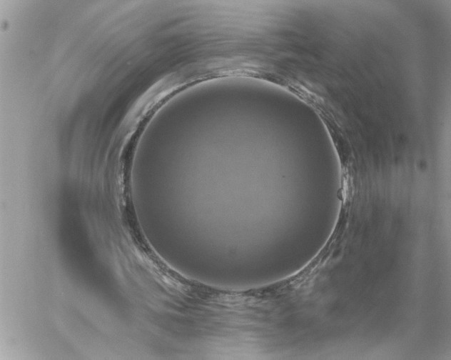 X0000059080339200510172035