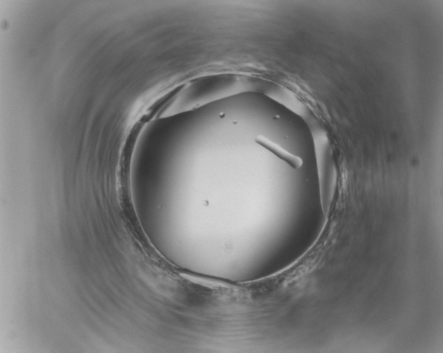 X0000059080340200510172035