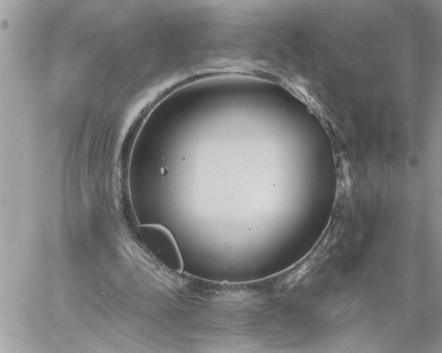 X0000059080342200510172035