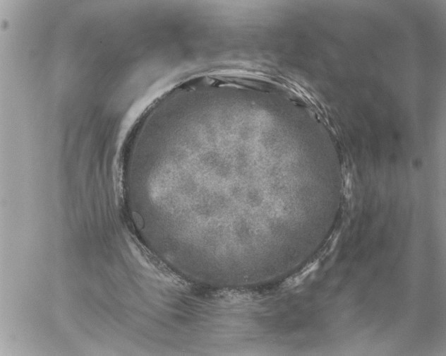 X0000059080343200510172035