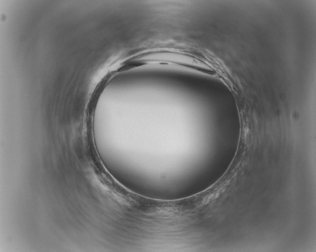 X0000059080344200510172035