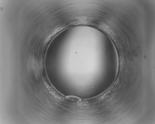 X0000059080345200510172035