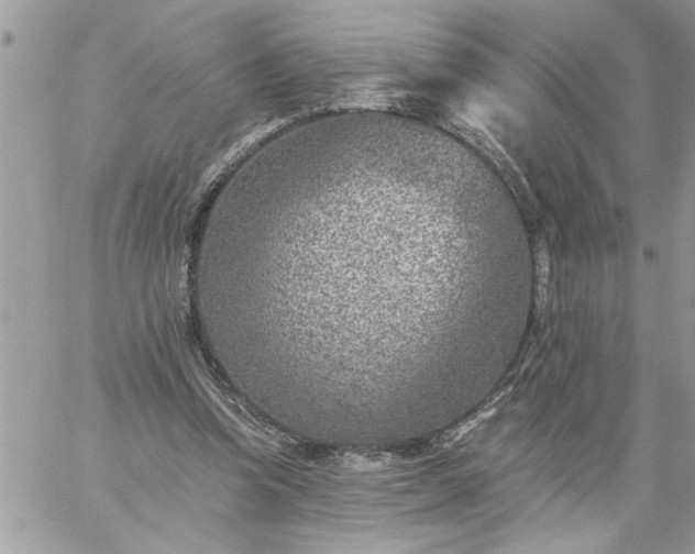 X0000059080346200510172035