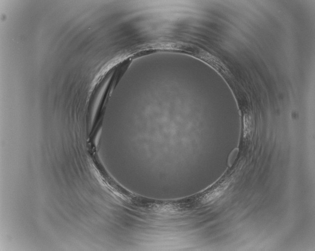 X0000059080349200510172035