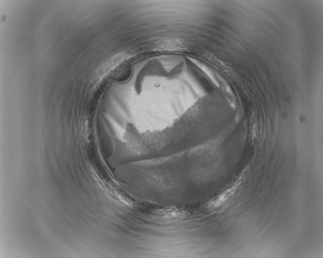 X0000059080351200510172035